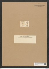Tabellaria ? amphilepta Ehr. (de-Toni-Nr.: Genus 89, Species 2992) Zeichnungen Sammlung Grunow Nr. 6096 (NHMW-BOT-W0374631)